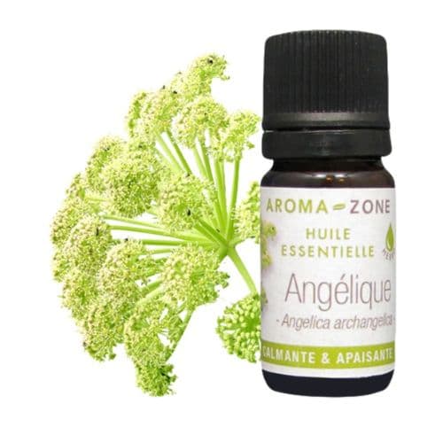 Huile Essentielle d’Angélique , AROME-ZONE Pour Harmonie du Corps & de l’Esprit , 2ml et 5 ml
