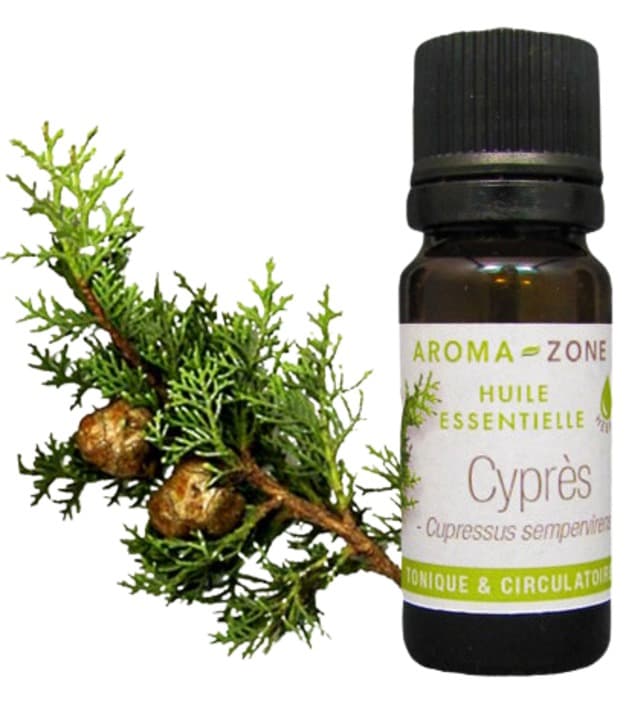 Huile Essentielle de Cyprès Vert BIO AROMA-ZONE Pour Circulation, Respiration & équilibre émotionnel
